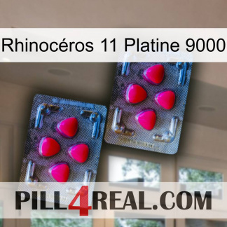 Rhinocéros 11 Platine 9000 14